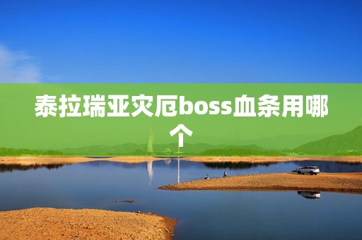 泰拉瑞亚灾厄boss血条用哪个