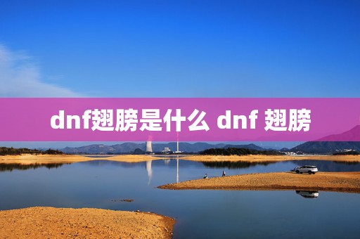 dnf翅膀是什么 dnf 翅膀