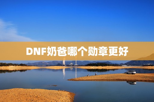 DNF奶爸哪个勋章更好