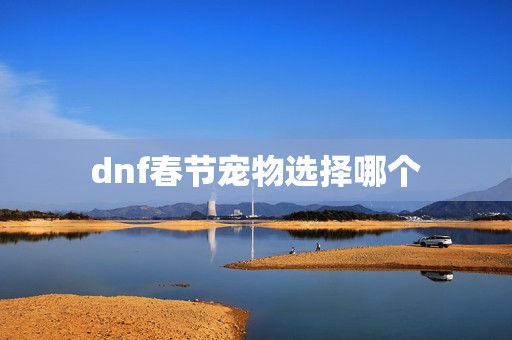 dnf春节宠物选择哪个