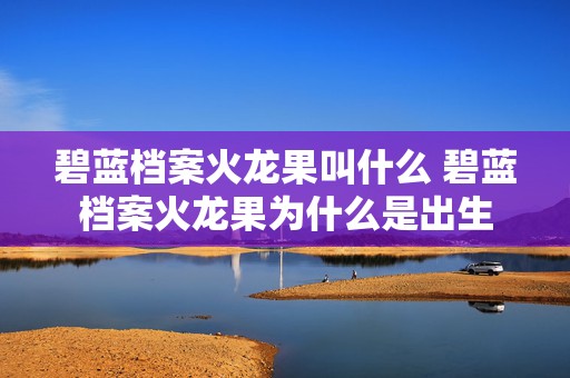 碧蓝档案火龙果叫什么 碧蓝档案火龙果为什么是出生