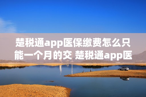 楚税通app医保缴费怎么只能一个月的交 楚税通app医保缴费怎么只能一个月的交了