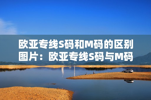 欧亚专线S码和M码的区别图片：欧亚专线S码与M码在手游中的应用差异解析