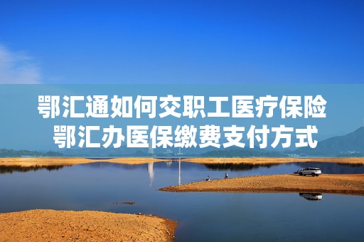 鄂汇通如何交职工医疗保险 鄂汇办医保缴费支付方式