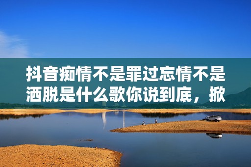 抖音痴情不是罪过忘情不是洒脱是什么歌你说到底，掀起全网热潮