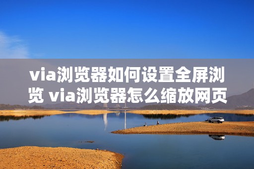 via浏览器如何设置全屏浏览 via浏览器怎么缩放网页