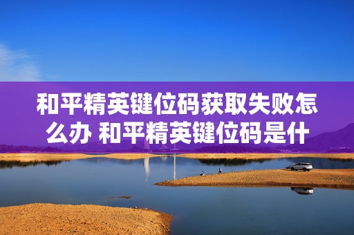 和平精英键位码获取失败怎么办 和平精英键位码是什么