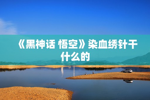 《黑神话 悟空》染血绣针干什么的