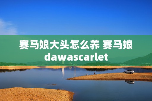 赛马娘大头怎么养 赛马娘dawascarlet