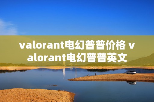 valorant电幻普普价格 valorant电幻普普英文