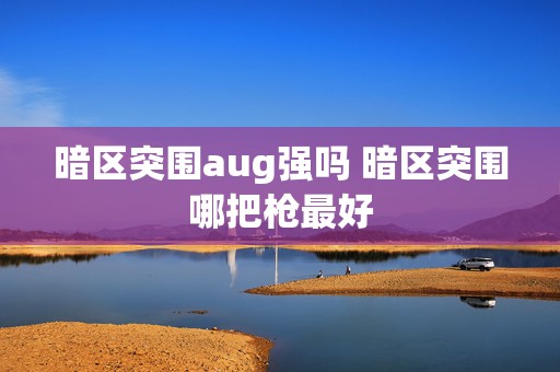 暗区突围aug强吗 暗区突围哪把枪最好