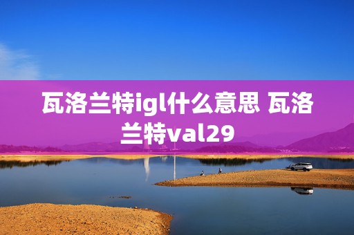 瓦洛兰特igl什么意思 瓦洛兰特val29