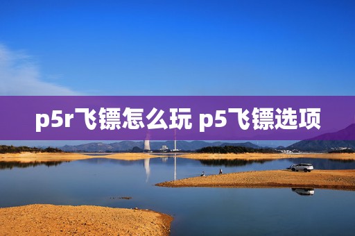 p5r飞镖怎么玩 p5飞镖选项