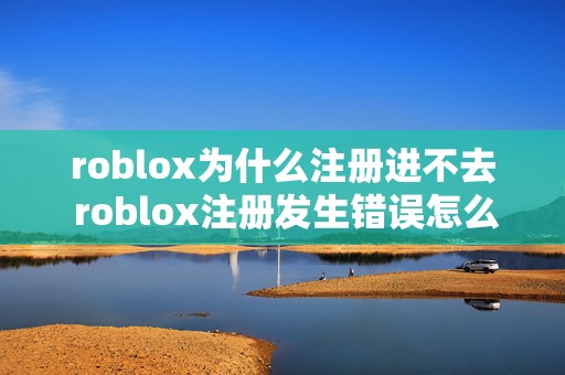 roblox为什么注册进不去 roblox注册发生错误怎么办