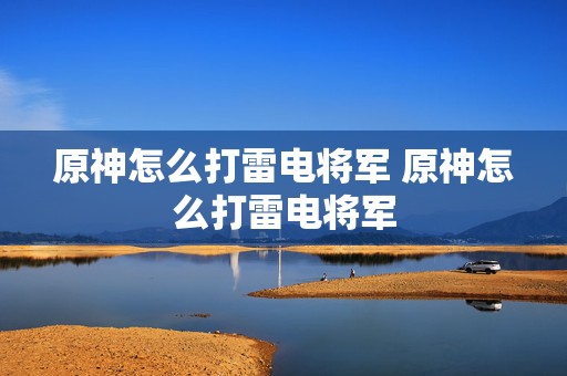 原神怎么打雷电将军 原神怎么打雷电将军