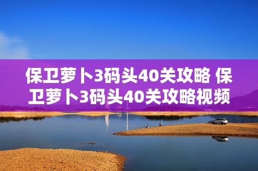 保卫萝卜3码头40关攻略 保卫萝卜3码头40关攻略视频