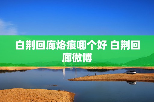 白荆回廊烙痕哪个好 白荆回廊微博