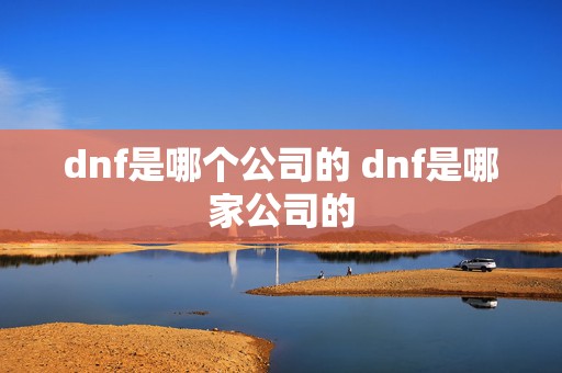 dnf是哪个公司的 dnf是哪家公司的