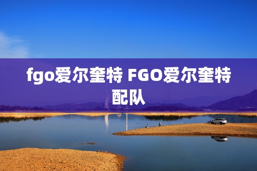 fgo爱尔奎特 FGO爱尔奎特配队