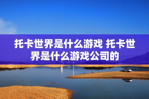 托卡世界是什么游戏 托卡世界是什么游戏公司的