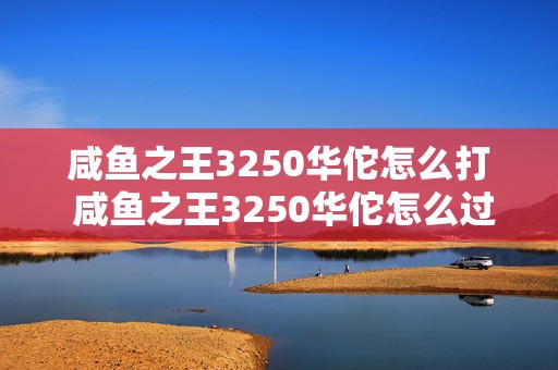 咸鱼之王3250华佗怎么打 咸鱼之王3250华佗怎么过的