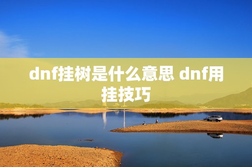 dnf挂树是什么意思 dnf用挂技巧