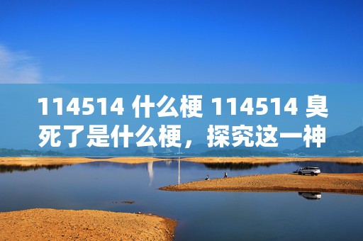 114514 什么梗 114514 臭死了是什么梗，探究这一神秘网络热词背后的故事