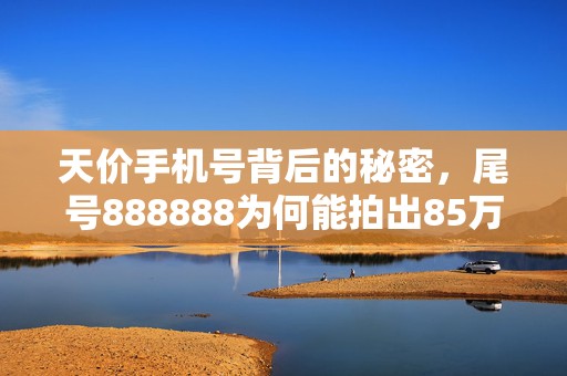 天价手机号背后的秘密，尾号888888为何能拍出85万？有钱人的世界我们真的不懂吗？