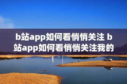 b站app如何看悄悄关注 b站app如何看悄悄关注我的人