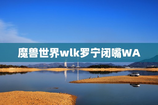 魔兽世界wlk罗宁闭嘴WA