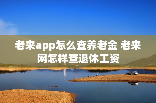 老来app怎么查养老金 老来网怎样查退休工资