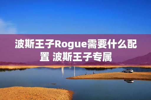 波斯王子Rogue需要什么配置 波斯王子专属