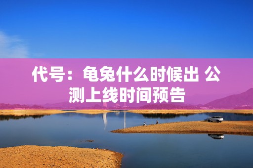 代号：龟兔什么时候出 公测上线时间预告