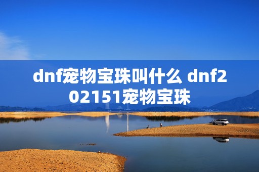 dnf宠物宝珠叫什么 dnf202151宠物宝珠