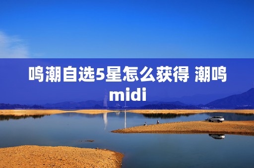 鸣潮自选5星怎么获得 潮鸣midi