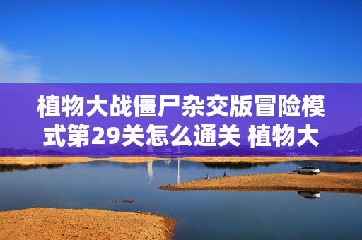 植物大战僵尸杂交版冒险模式第29关怎么通关 植物大战僵尸第29章