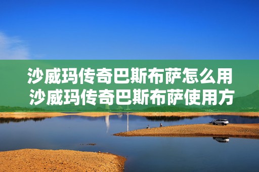 沙威玛传奇巴斯布萨怎么用 沙威玛传奇巴斯布萨使用方法