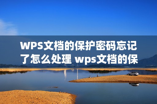 WPS文档的保护密码忘记了怎么处理 wps文档的保护密码忘记了怎么处理呢