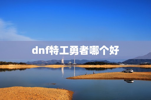 dnf特工勇者哪个好