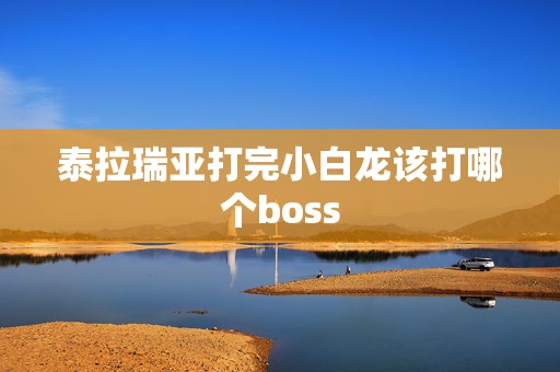 泰拉瑞亚打完小白龙该打哪个boss