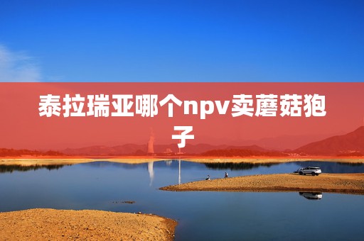 泰拉瑞亚哪个npv卖蘑菇狍子