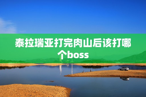 泰拉瑞亚打完肉山后该打哪个boss