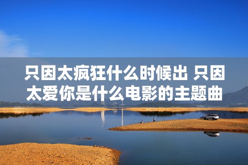 只因太疯狂什么时候出 只因太爱你是什么电影的主题曲