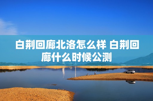 白荆回廊北洛怎么样 白荆回廊什么时候公测