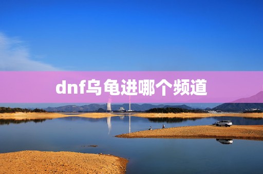 dnf乌龟进哪个频道