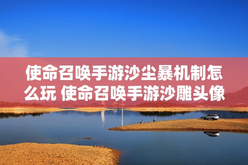 使命召唤手游沙尘暴机制怎么玩 使命召唤手游沙雕头像