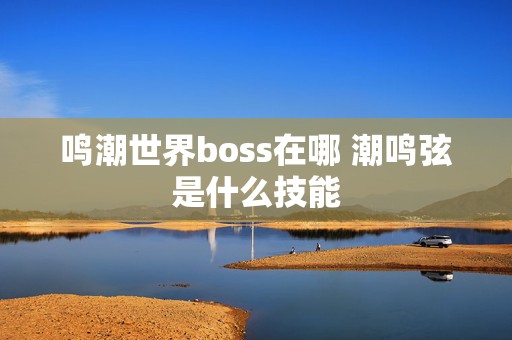 鸣潮世界boss在哪 潮鸣弦是什么技能