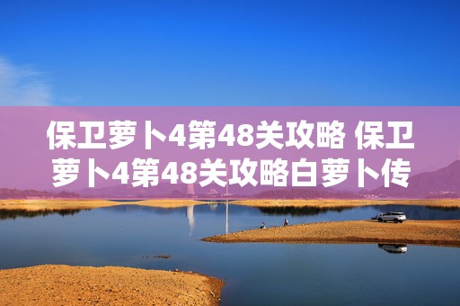 保卫萝卜4第48关攻略 保卫萝卜4第48关攻略白萝卜传奇答案