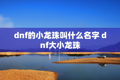 dnf的小龙珠叫什么名字 dnf大小龙珠