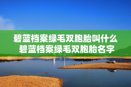 碧蓝档案绿毛双胞胎叫什么 碧蓝档案绿毛双胞胎名字